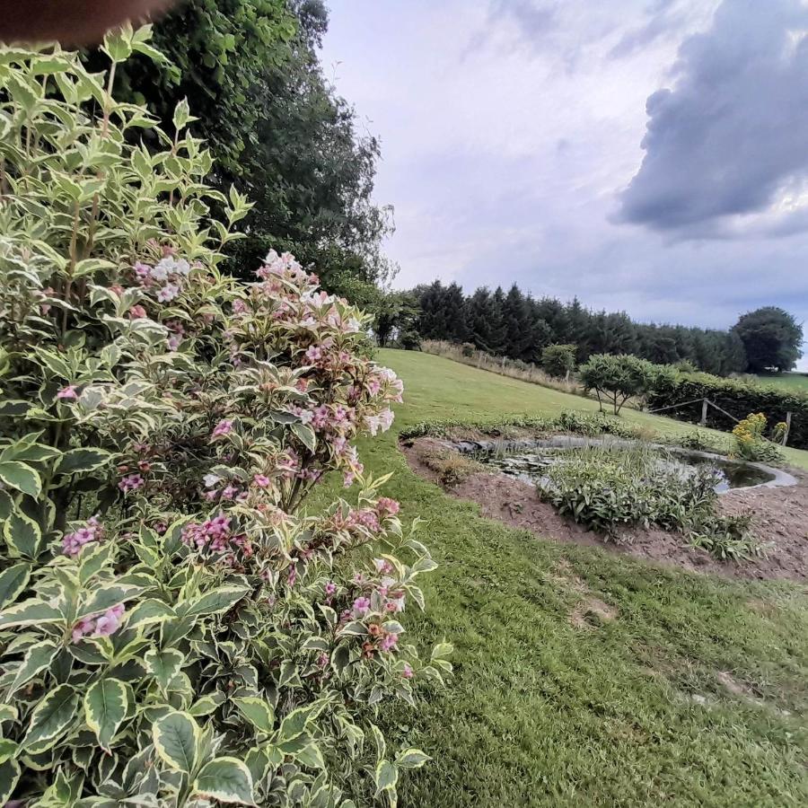 Le Gite Pierre Et Bois Houffalize Bagian luar foto